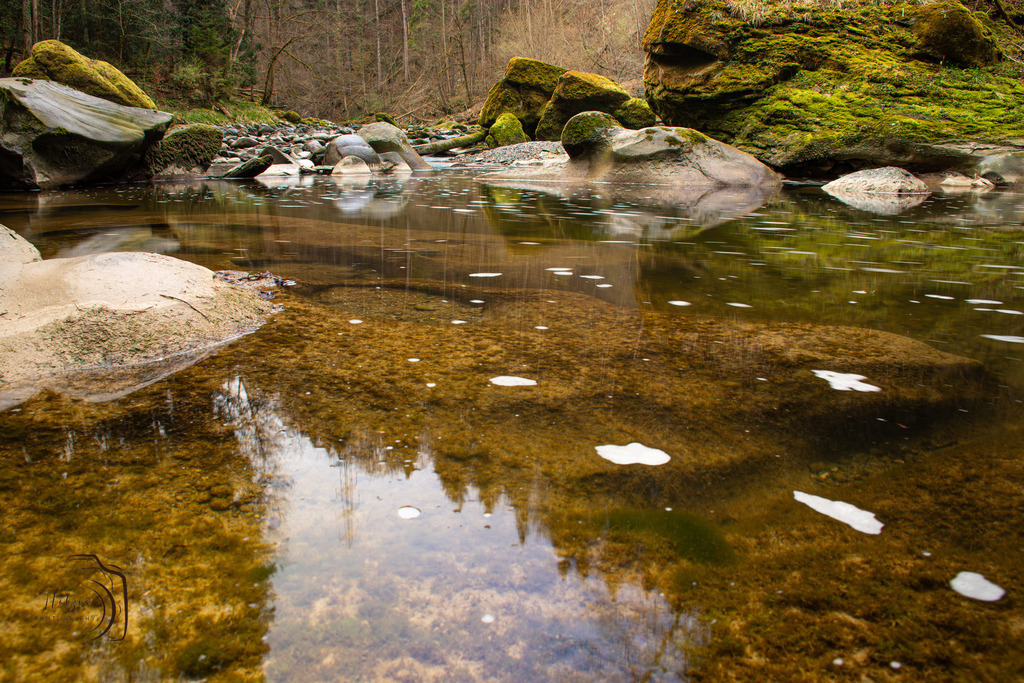 Silent River | Holzisphotography, Landschaftsfotografie, Wildlifefotogorafie - Realisiert mit Pictrs.com