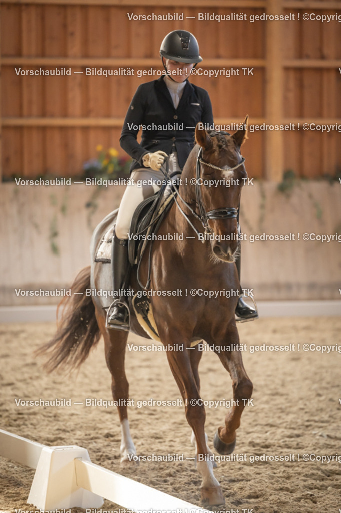 _D5A3357 | Emotionale Pferde- & People-Fotografie rund um Heidelberg, Leimen & Umgebung. Natürliche Fotos von Pferd, Mensch & Familie. Jetzt Termin sichern!