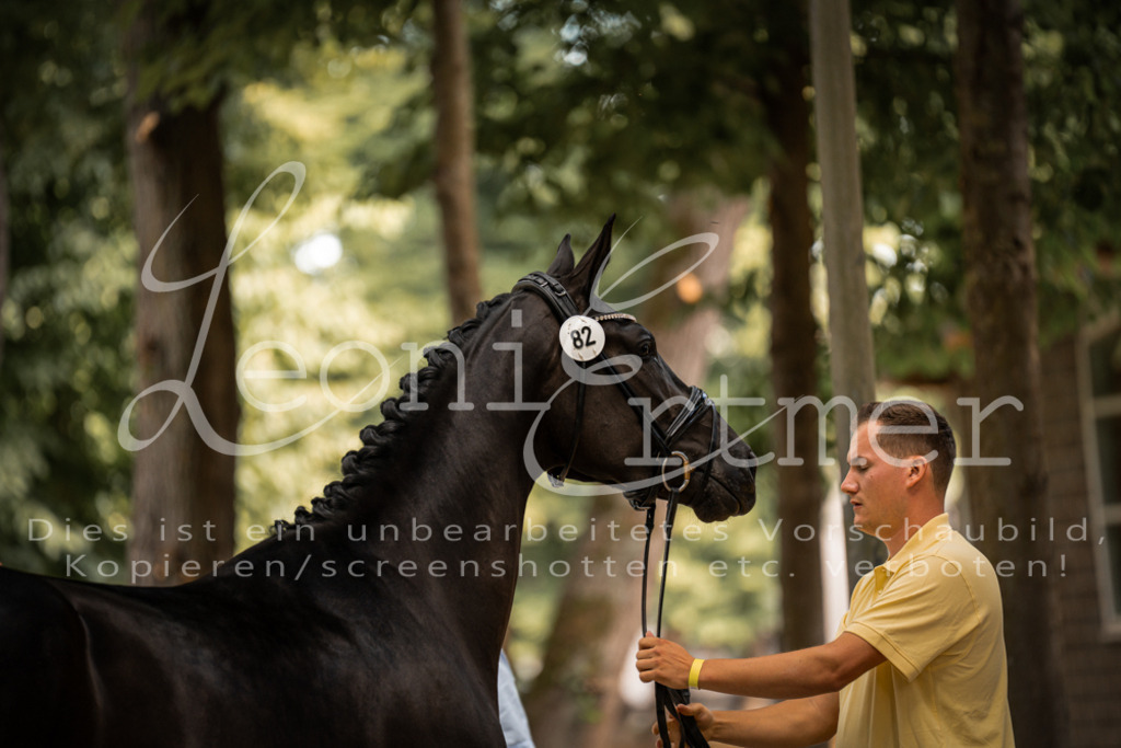 FrPfM00065 | Leoni Ertmer Photography - Realisiert mit Pictrs.com