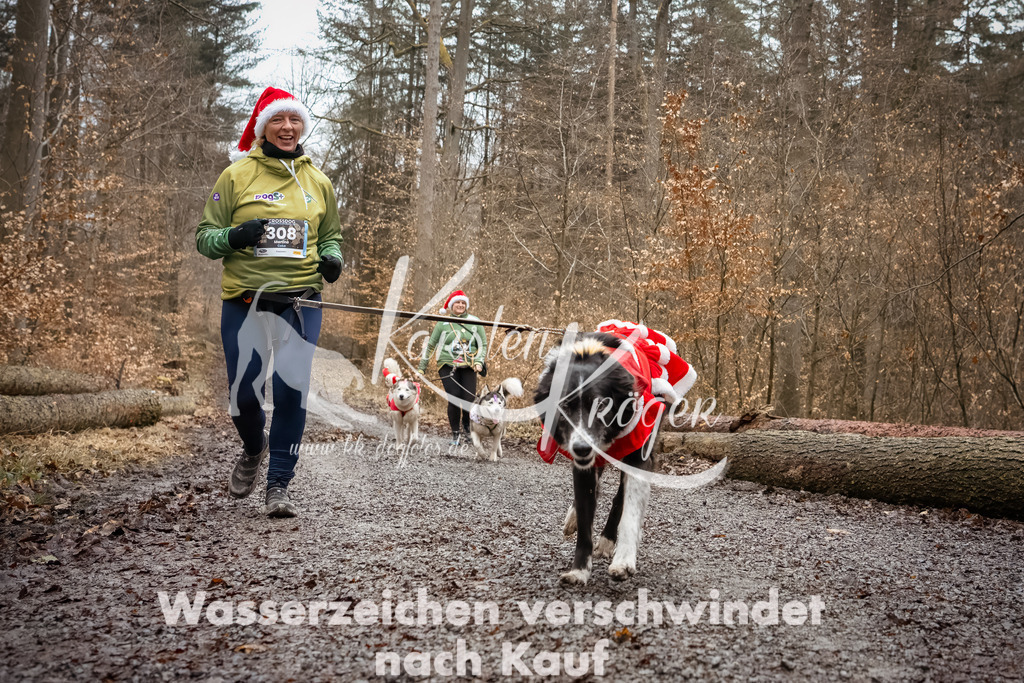 1139_ZZ91041-Bearbeitet-2 | kk-dogfotos