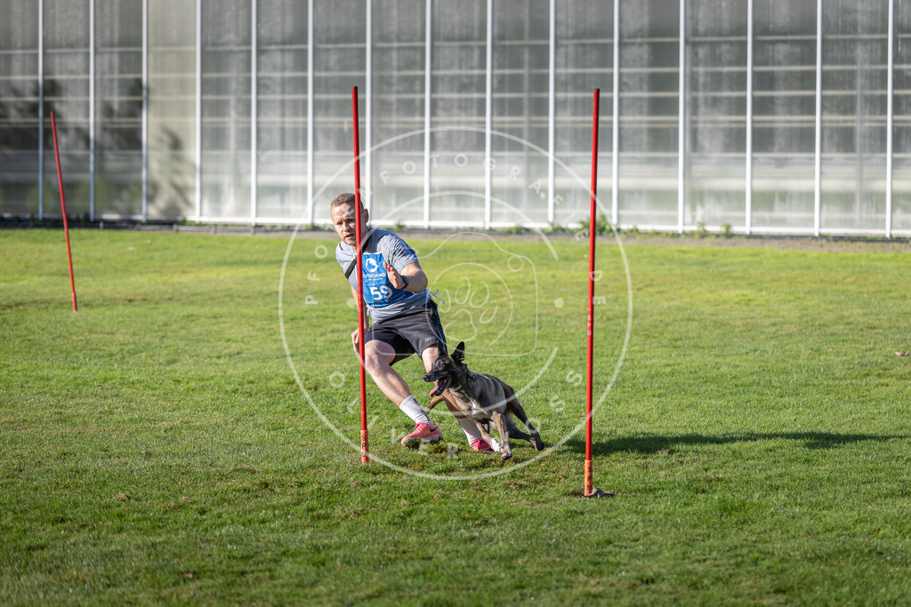 Pfotenfotografie.de_DV3A3439 | Hundefotografie, Tierfotograf, Pfotenfotografie, Fotoshooting Hund, Hunde Portrait, Hundesport, Hundeportraits, Heideshooting, Hunde, Sportfotograf, Hundefotograf, Turnierhundsport, THS, canicross - Realisiert mit Pictrs.com