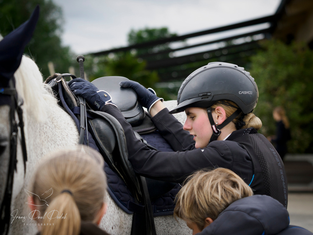 2025-05-29_09_29_54__5291585-Bearbeitet | Franz Podek