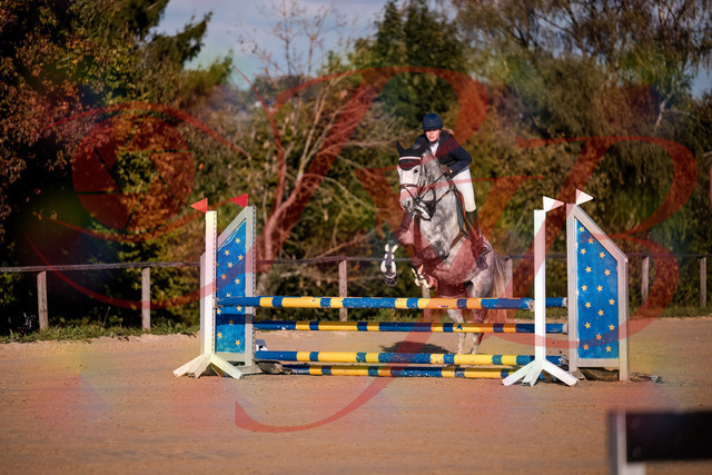 2026_10_03_Siefer-Hof_171412_Z81_11508289 | Professionelle Reitsport-, Turnier- und Eventfotografie von Robert Broda. Galerien mit ausgewählten und bearbeiteten Bildern direkt online ansehen und bestellen.