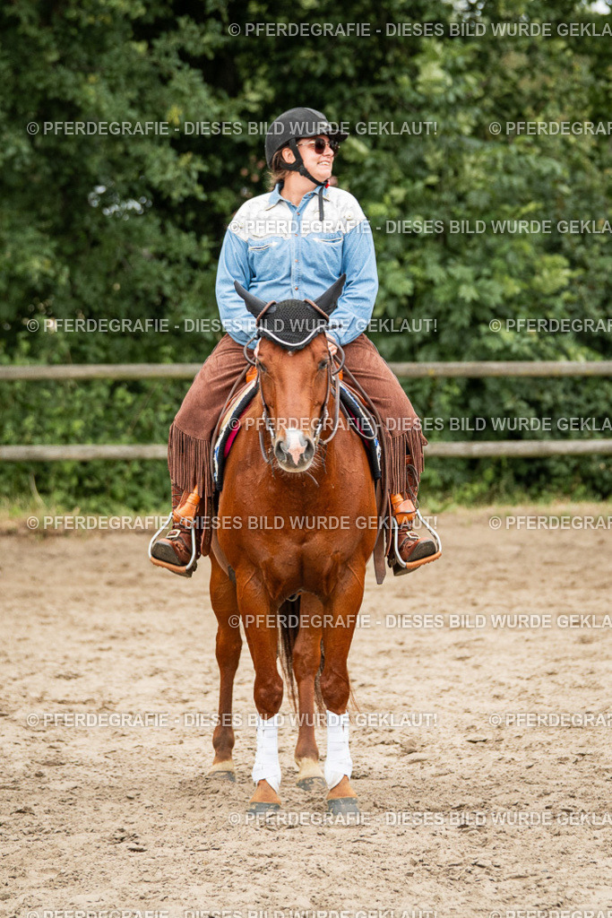 DSC03624 | Pferdegrafie