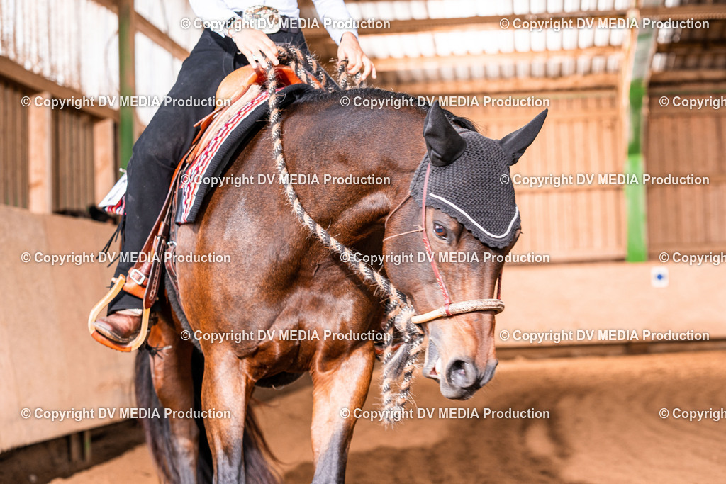 Balingen Tag 1-644 | dv-media-shop - Realisiert mit Pictrs.com