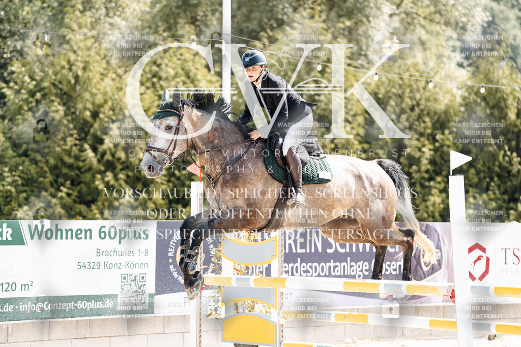 CK908978 | Turnierfotografie Pferdefotografie Trier Rheinland-Pfalz Pferdesport Reitsport Tierfotografie Sportfotografie Pferdevideo Pferdevideografie Equestrianvideography equestrianphotography  - Realisiert mit Pictrs.com