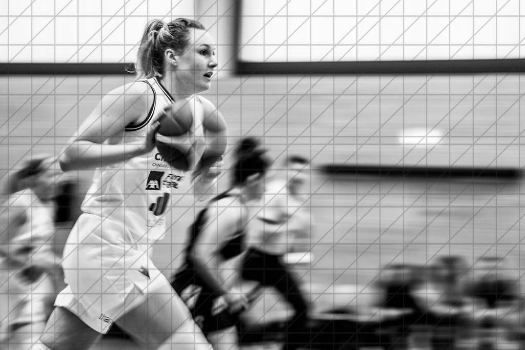 2. DBBL Nord 24/25 | 16.02.2025 | BBC OS vs. Talents BonnRhöndorf | 2. DBBL Nord 24/25 | 16.02.2025 | BBC OS vs. Talents BonnRhöndorf - - - - - CREDIT, www.bullenfotos.de, Martin König, Hörner Weg 40, D-49078 Osnabrück, +4917663732967, Nutzung und Weitergabe nur zu den vereinbarten Zwecken. Presseanfragen an Urheber. Alle Rechte beim Urheber. - - - - - - Realisiert mit Pictrs.com