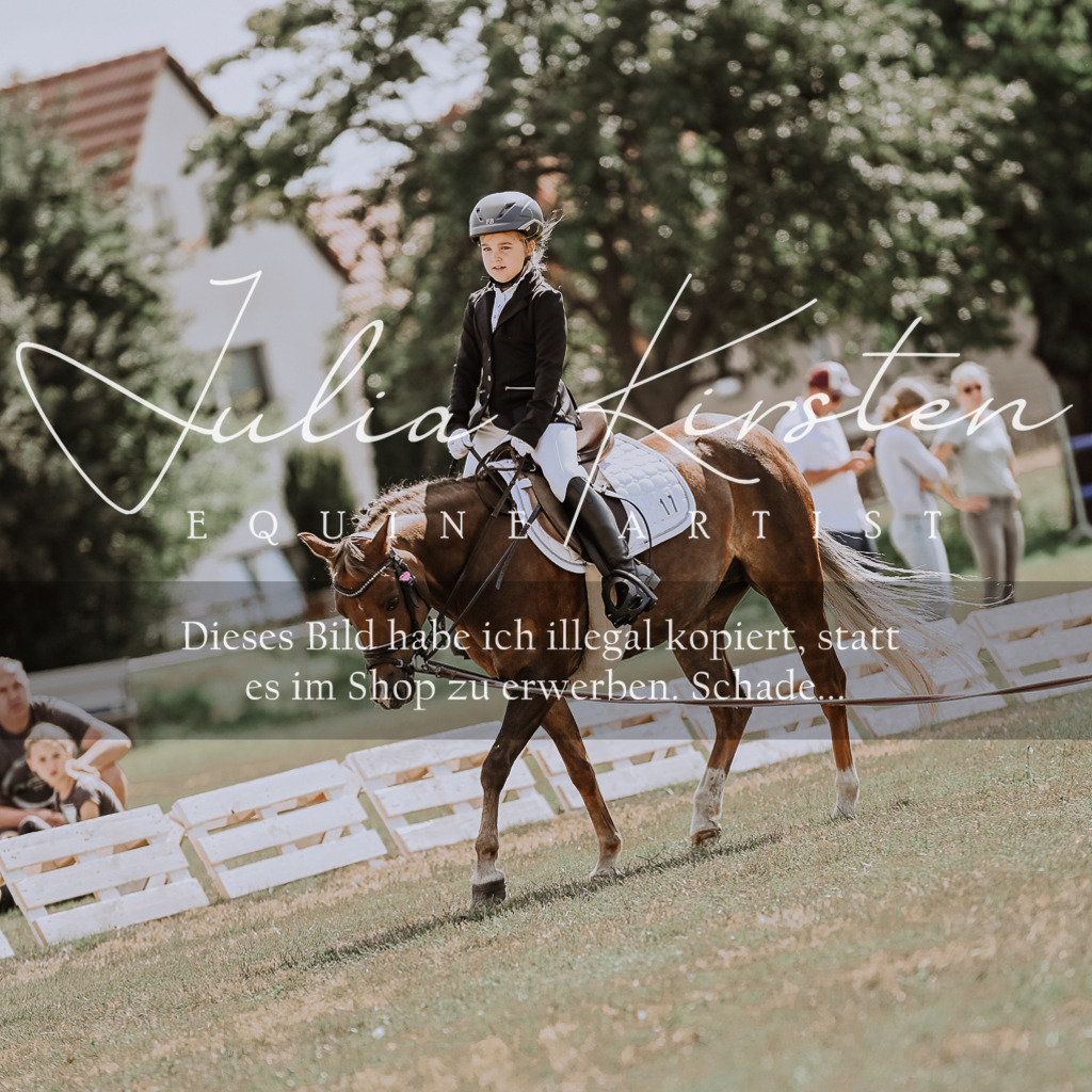 DSC_7621 | Pferde- und Turnierfotografie in Westsachsen. Pferdeportraits, Auftragszeichnungen und intuitive Kunst.