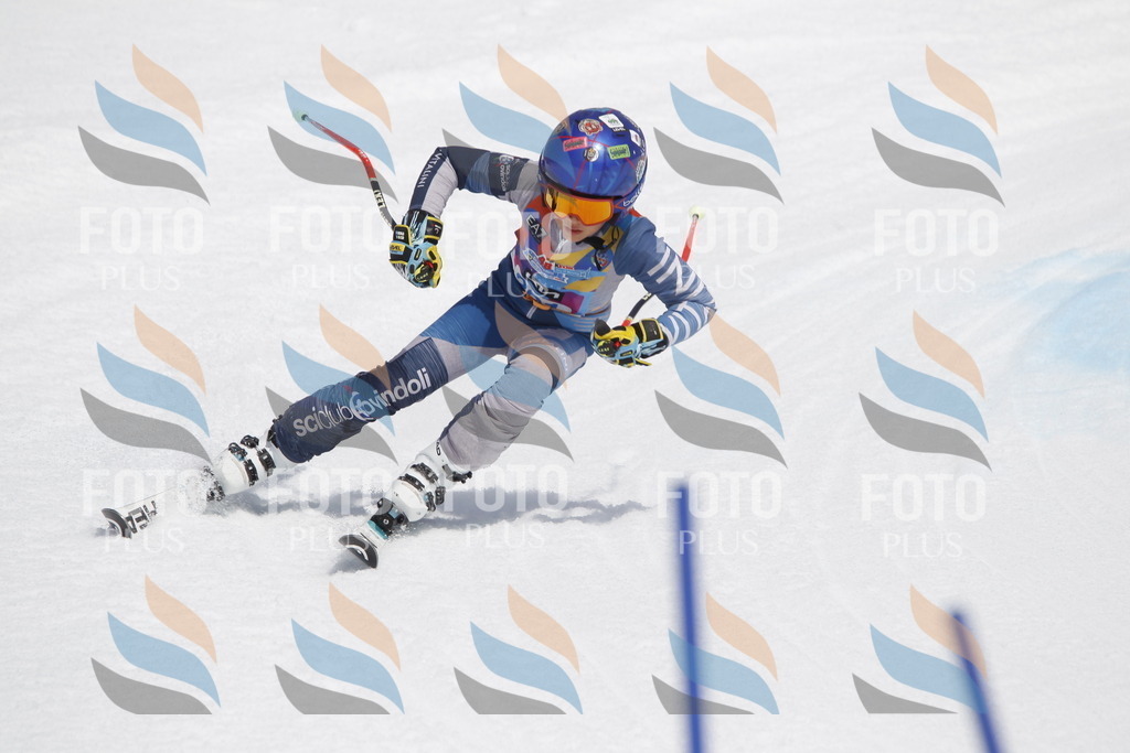 _U3G2386 | holidayphoto