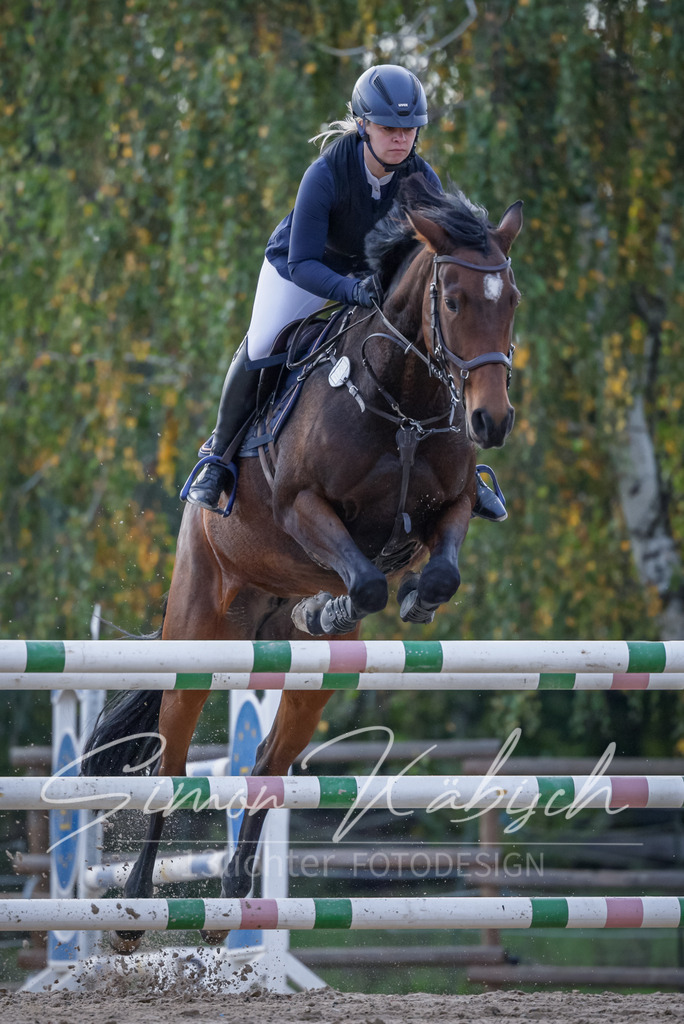 20251012-_3LI5574 | Tierfotografie Pferde, Hunde, Katzen, Haustiere.
Turnierfotografie Reitturniere, Reiten, Springreiten, Dressur in Hanau, dem Main-Kinzig-Kreis und dem Rhein-Main- Gebiet um Frankfurt