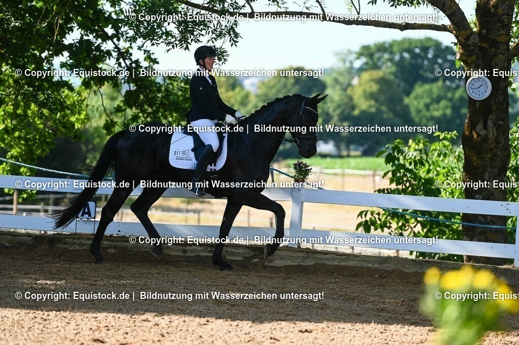 20230715_06_Dressurpferdeprfg. Kl.A_0003 | equistock