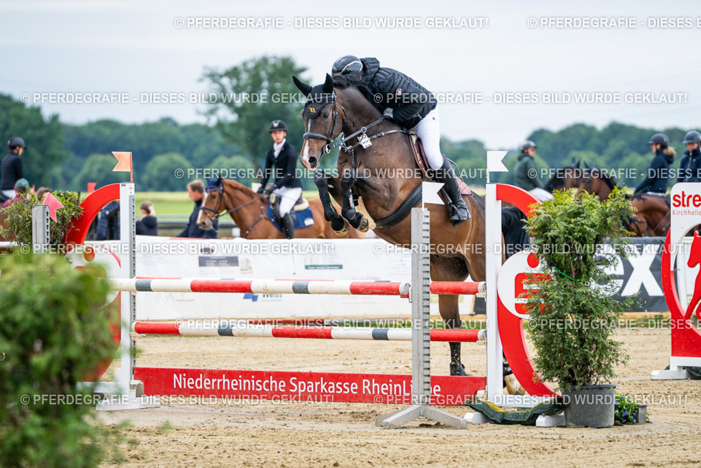 DSC04650 | Pferdegrafie