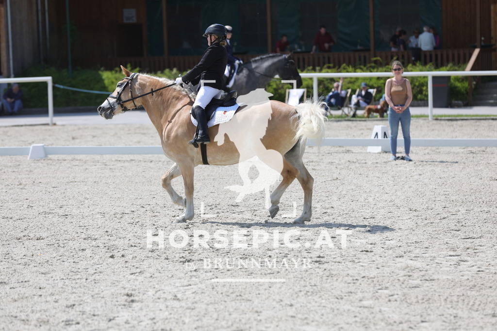 0P6A2094 | Willkommen bei Brunnmayr - Design & Fotografie – Ihrem Spezialisten für Reitturniere und Pferdeveranstaltungen in Oberösterreich, Salzburg und Bayern! Seit über 17 Jahren sind wir leidenschaftlich dabei.