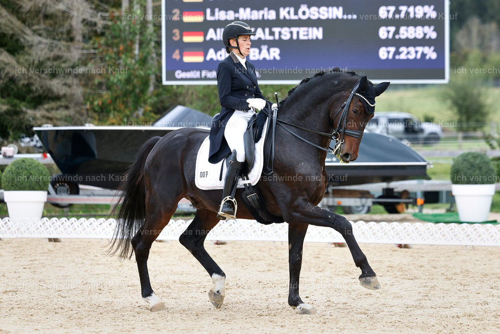 11-007-Dressur S___-StoibPH-1125 | working equitationturnier fotograf videograf stoibphotography marixx film working equitation deutschland reitsport turnierfotografie eventfotografie equestrian events