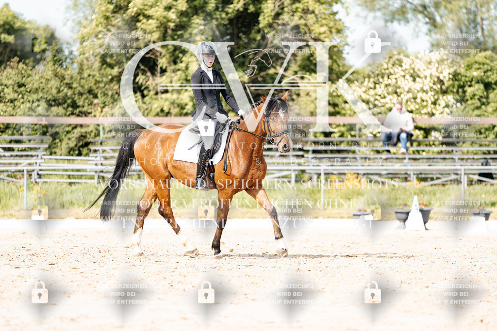 CK900513 | Turnierfotografie Pferdefotografie Trier Rheinland-Pfalz Pferdesport Reitsport Tierfotografie Sportfotografie Pferdevideo Pferdevideografie Equestrianvideography equestrianphotography  - Realisiert mit Pictrs.com
