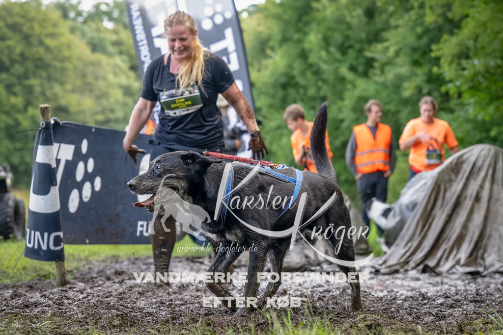 1153_ZZ90099-Bearbeitet | kk-dogfotos