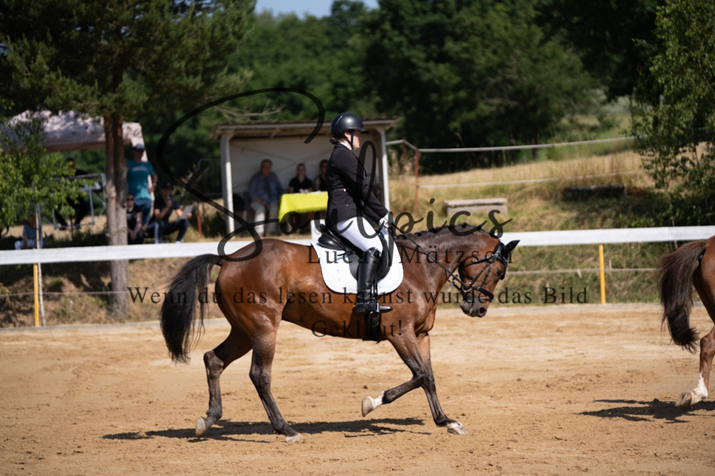 A7V07833 | Turnier/Reitfotograf