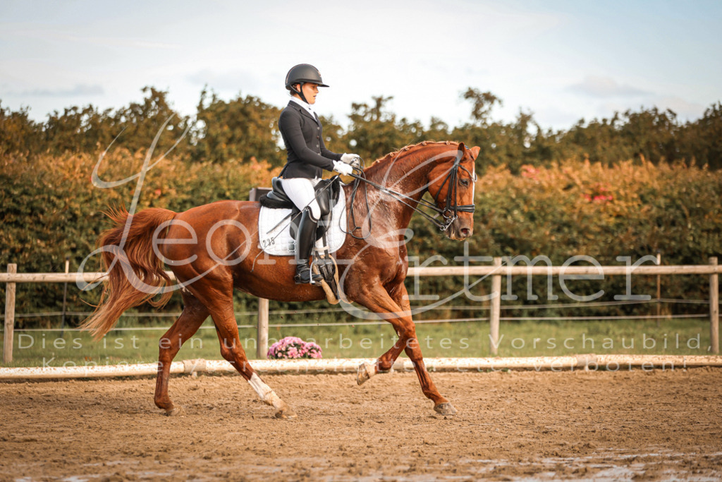 17.SoDrM00470 | Leoni Ertmer Photography - Realisiert mit Pictrs.com