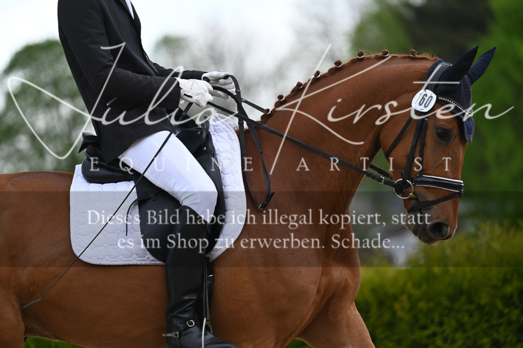 20230512_JK-Röhrsdorf-03-014 | Pferde- und Turnierfotografie in Westsachsen. Pferdeportraits, Auftragszeichnungen und intuitive Kunst.