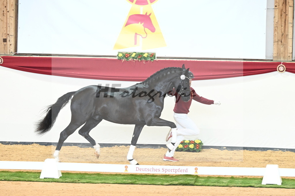 Kat.-Nr. 53 v. Fürst Belissaro_Casper_2240626 | hf-fotografie - Realisiert mit Pictrs.com