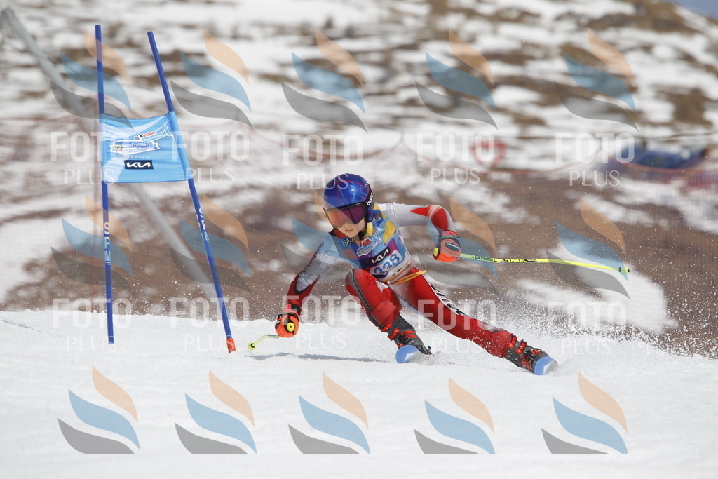 _U3G2643 | holidayphoto