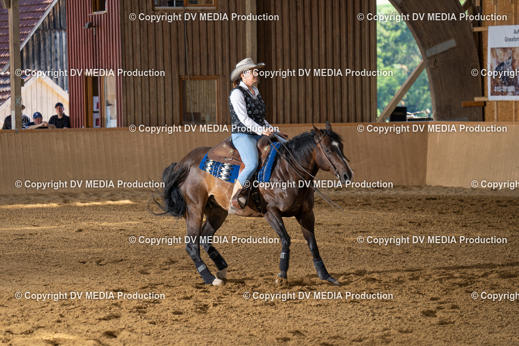 DSC00157 | dv-media-shop - Realisiert mit Pictrs.com