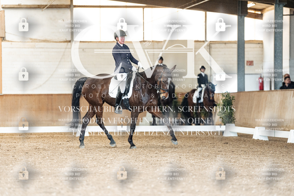 CK901427 | Turnierfotografie Pferdefotografie Trier Rheinland-Pfalz Pferdesport Reitsport Tierfotografie Sportfotografie Pferdevideo Pferdevideografie Equestrianvideography equestrianphotography  - Realisiert mit Pictrs.com