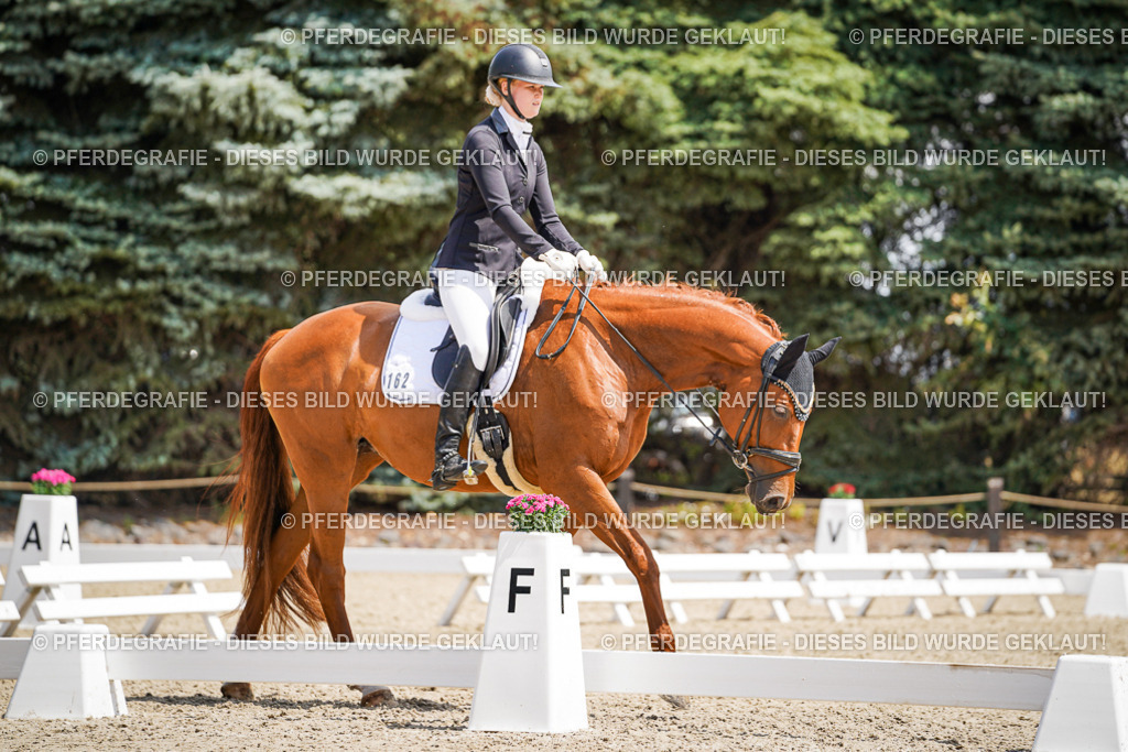 DSC00867 | Pferdegrafie