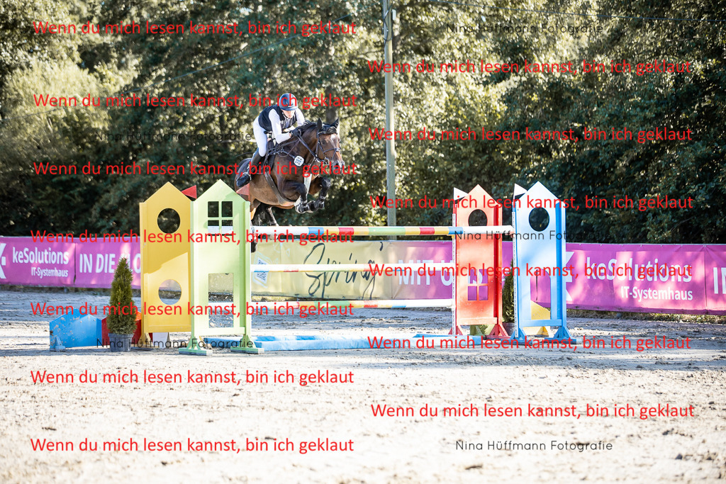 BK1A8682 | Turnierbilder Turnierfotos Nina Hüffmann Turnierfotografie Pferdefotografie Tierzeichnung Haustierzeichnung Pferdezeichnung Hundezeichnung Videograf  - Realisiert mit Pictrs.com