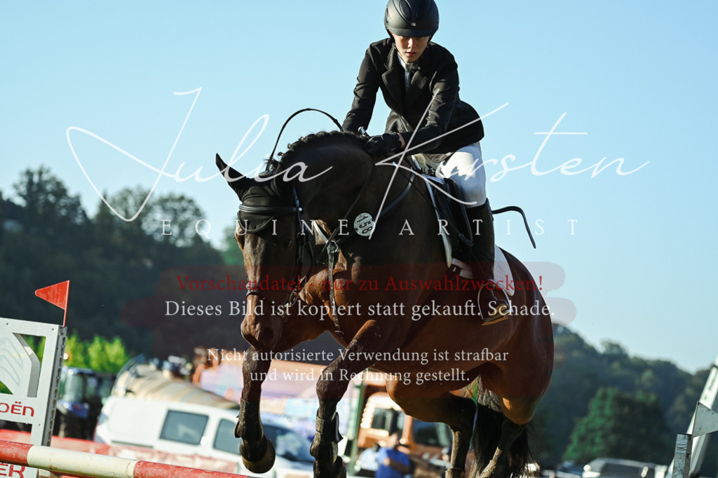 DSC_4202 | Pferde- und Turnierfotografie in Westsachsen. Pferdeportraits, Auftragszeichnungen und intuitive Kunst.