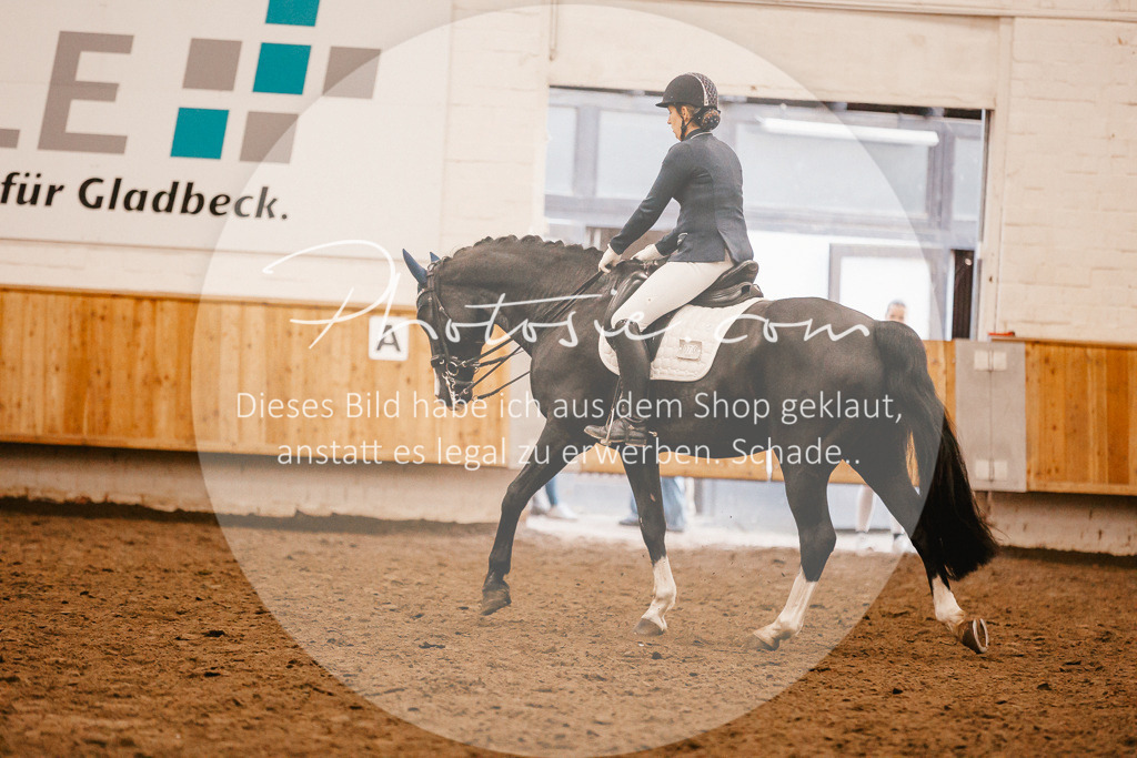 3I6A6903 | Stimmungsvolle Portraits und Reitsportfotografie im Ruhrgebiet und im Münsterland.

Pferdefotografie, Hundefotografie, Tierfotografie, Reportagen, Portraits von Tier und Mensch, Turnierfotografie in Bochum, Recklinghausen, Marl, Haltern am See, Dülmen.. - Realisiert mit Pictrs.com