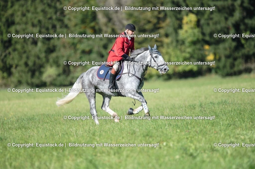 20251011_Jagd-Marbach_0228 | Foto: Thomas Hartig