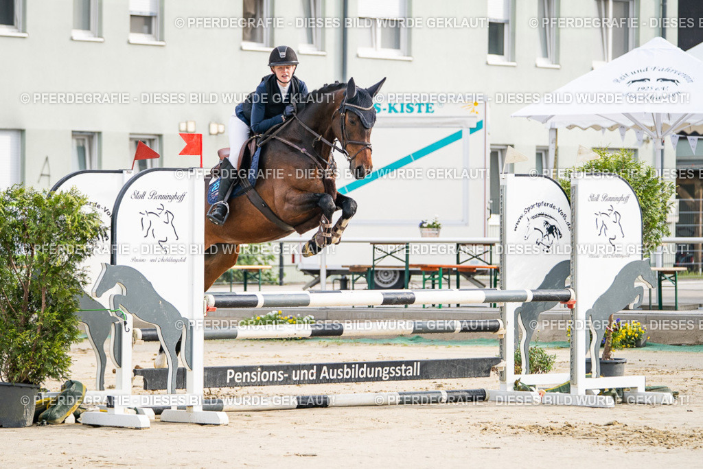 DSC08084 | Pferdegrafie