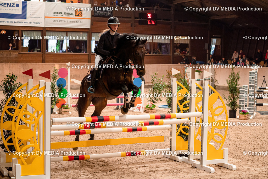 Springen Tag 2-710 | dv-media-shop - Realisiert mit Pictrs.com