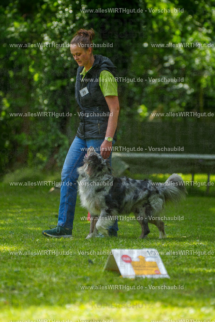 @allesWIRTHgut_Tierfotografie - www.allesWIRTHgut.de - 7R504814 | Professionelle Tierfotografie in Mönchengladbach von Daniel Wirth (allesWIRTHgut). Liebevolle & natürliche Bilder von Hunden & Katzen für unvergessliche Erinnerungen.