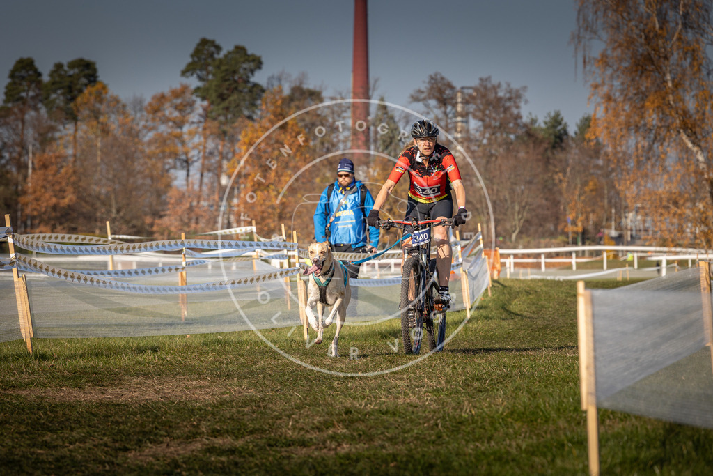 CaniXpix_0L8A7928 | Hundefotografie, Tierfotograf, Pfotenfotografie, Fotoshooting Hund, Hunde Portrait, Hundesport, Hundeportraits, Heideshooting, Hunde, Sportfotograf, Hundefotograf, Turnierhundsport, THS,  - Realisiert mit Pictrs.com