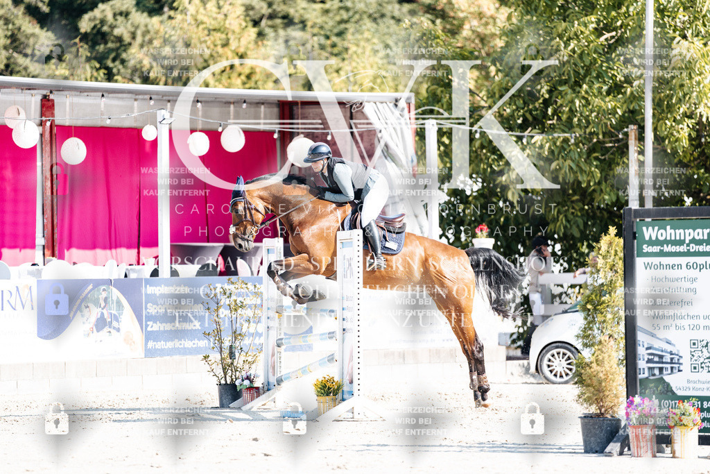 CK902314 | Turnierfotografie Pferdefotografie Trier Rheinland-Pfalz Pferdesport Reitsport Tierfotografie Sportfotografie Pferdevideo Pferdevideografie Equestrianvideography equestrianphotography  - Realisiert mit Pictrs.com