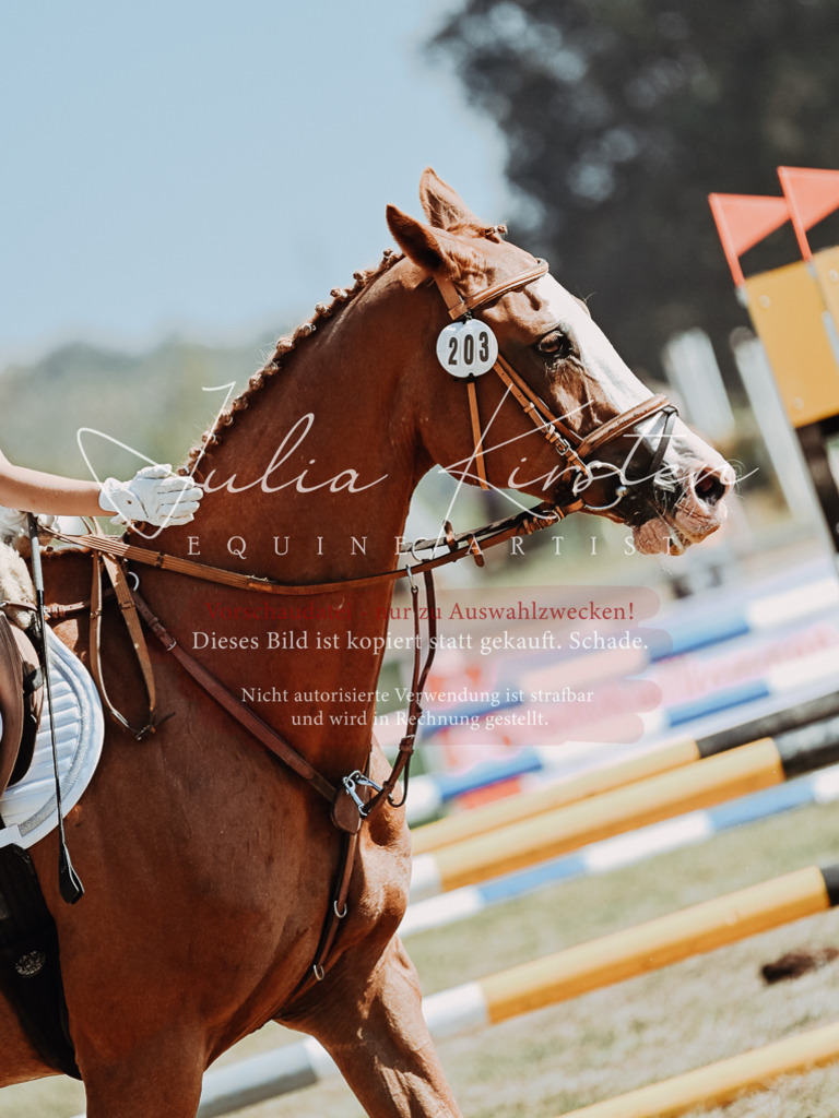 DSC_9535 | Pferde- und Turnierfotografie in Westsachsen. Pferdeportraits, Auftragszeichnungen und intuitive Kunst.