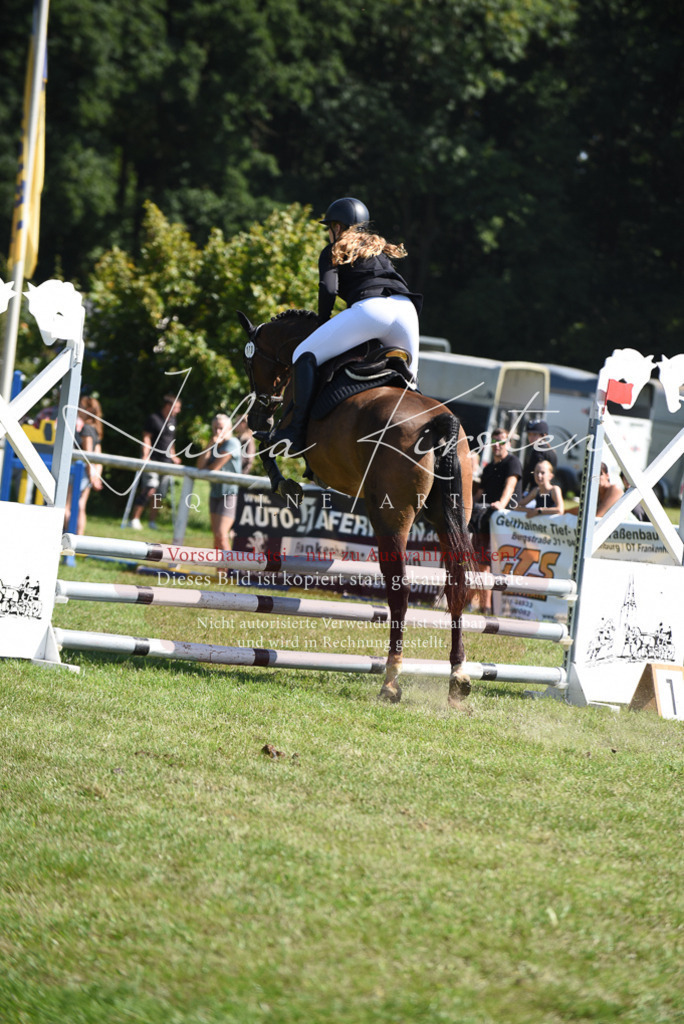 DSC_9417 | Pferde- und Turnierfotografie in Westsachsen. Pferdeportraits, Auftragszeichnungen und intuitive Kunst.