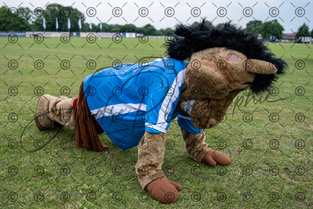 POL_3994 | andre_photographic