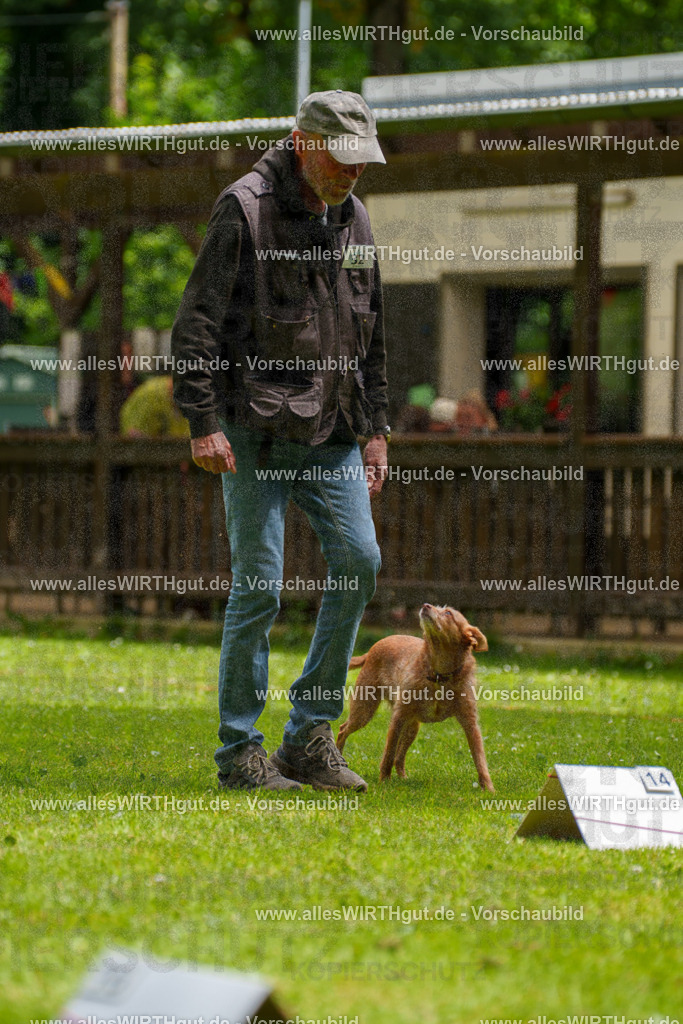 @allesWIRTHgut_Tierfotografie - www.allesWIRTHgut.de - 121721-7R508804 | Professionelle Tierfotografie in Mönchengladbach von Daniel Wirth (allesWIRTHgut). Liebevolle & natürliche Bilder von Hunden & Katzen für unvergessliche Erinnerungen.