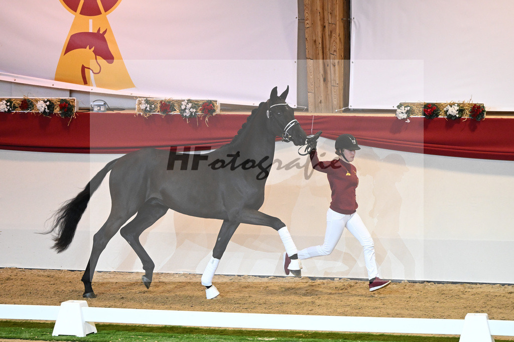 Kat-Nr. 40 Bon Courage_Klakow_1230085 | hf-fotografie - Realisiert mit Pictrs.com