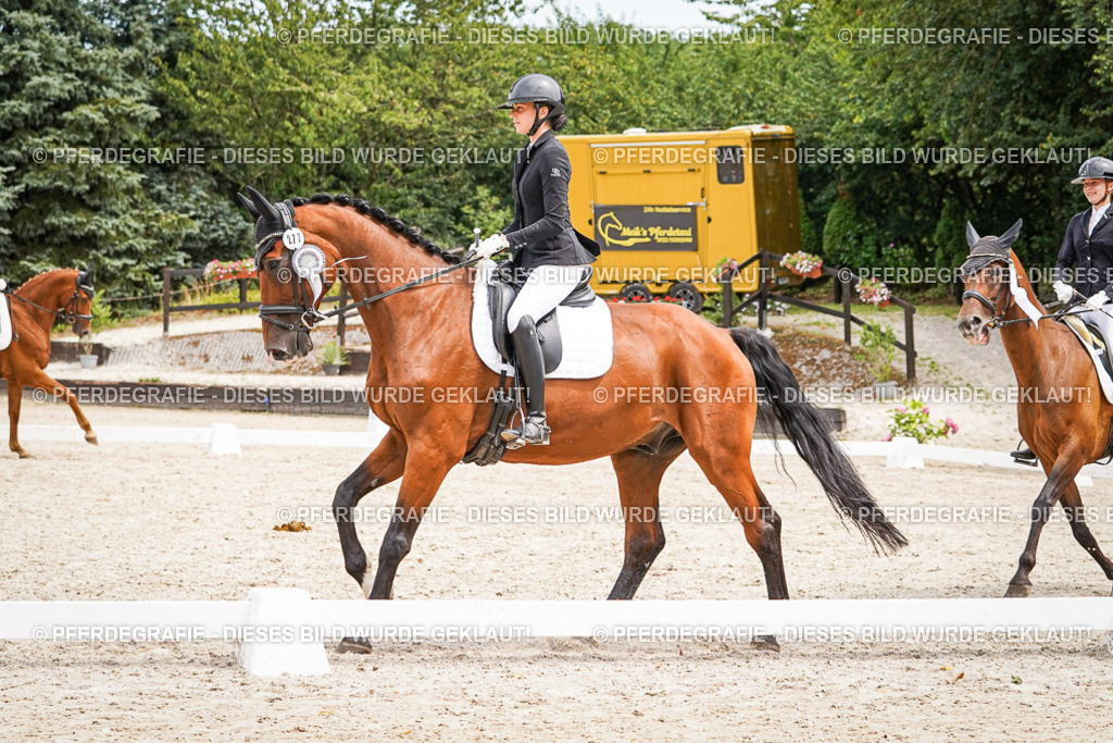 DSC04605 | Pferdegrafie