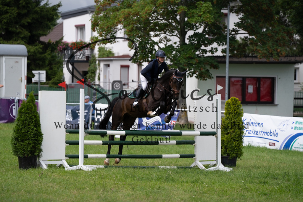 A7V03975 | Pferdefotograf