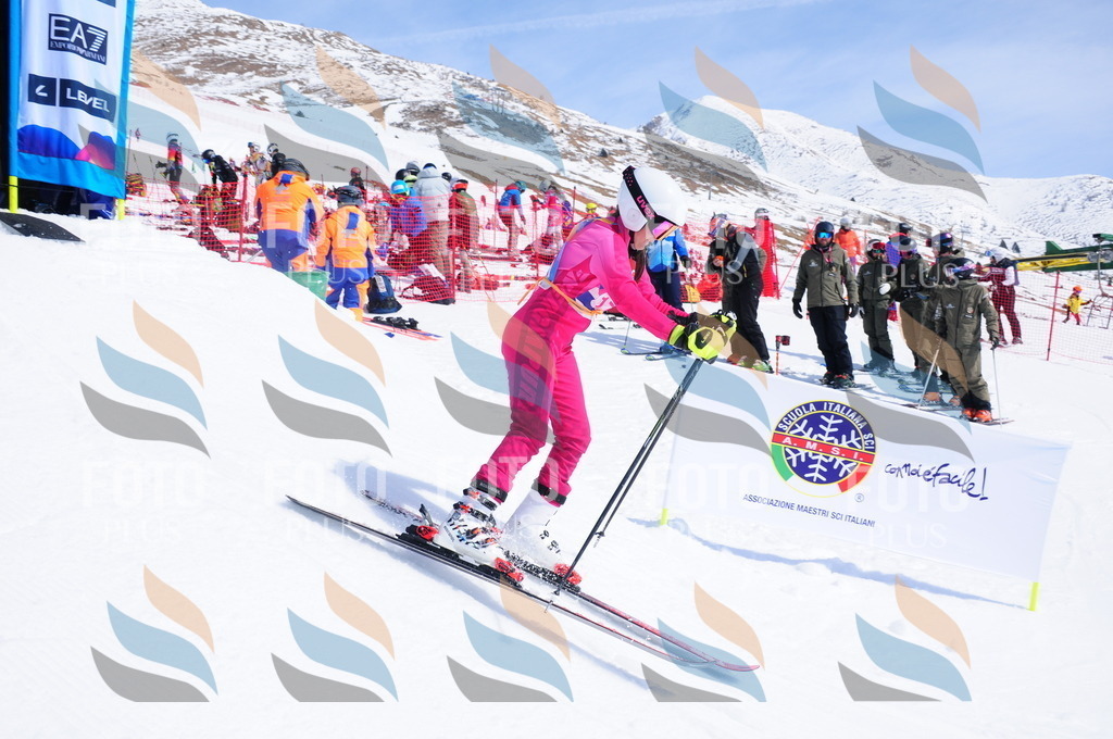 DSC_5554 | holidayphoto