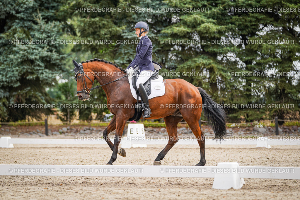 DSC01940 | Pferdegrafie