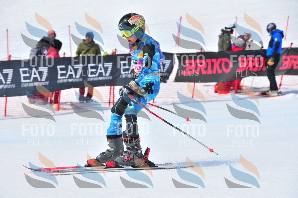 DSC_7194 | holidayphoto