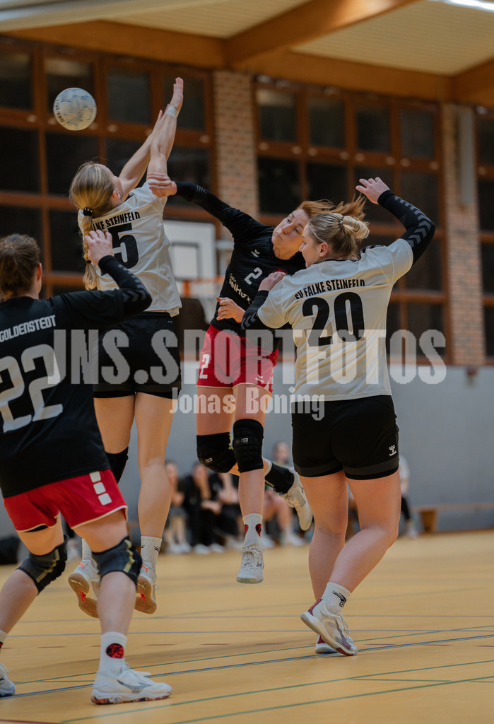 Handball I Frauen I Saison 2025-2026 I Landesliga HR West I 10. Spieltag I TuS Frisia Goldenstedt - SV Falke Steinfeld I 533 | jns.sportfotos - Realisiert mit Pictrs.com