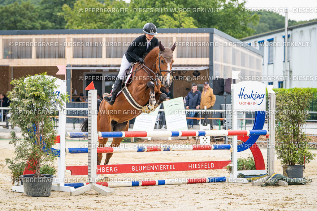 DSC09382 | Pferdegrafie