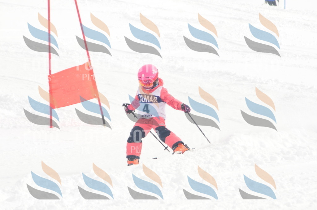 A5015 | holidayphoto